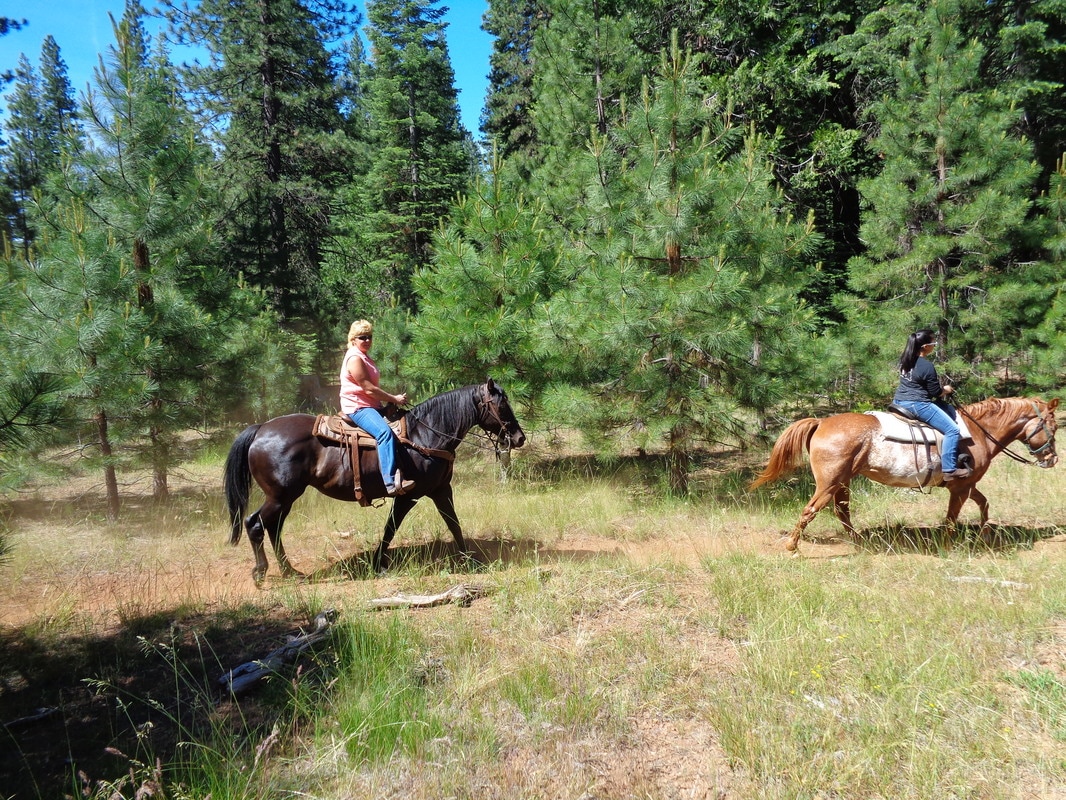Horseback Riding at Lake Almanor